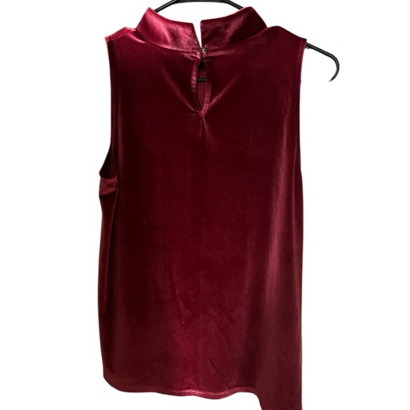 Loft Velvet Sleeveless Top - Rich Burgundy - Picture 3 of 3